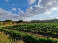  of property in Polokwane