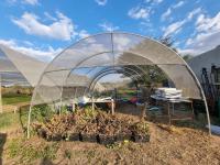 of property in Polokwane