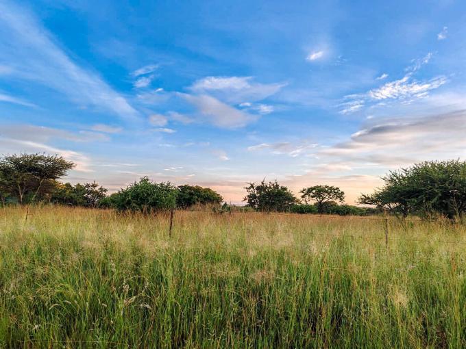 Smallholding for Sale For Sale in Polokwane - MR680470