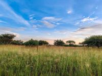 Smallholding for Sale for sale in Polokwane