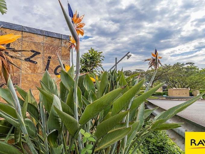 2 Bedroom Apartment for Sale For Sale in Westville  - MR680544