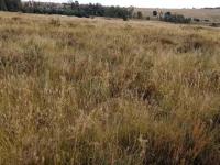  of property in Jameson Park