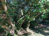  of property in Selbourne Golf Estate