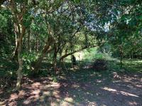  of property in Selbourne Golf Estate