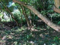  of property in Selbourne Golf Estate