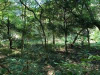  of property in Selbourne Golf Estate