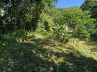  of property in Selbourne Golf Estate