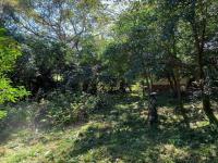  of property in Selbourne Golf Estate