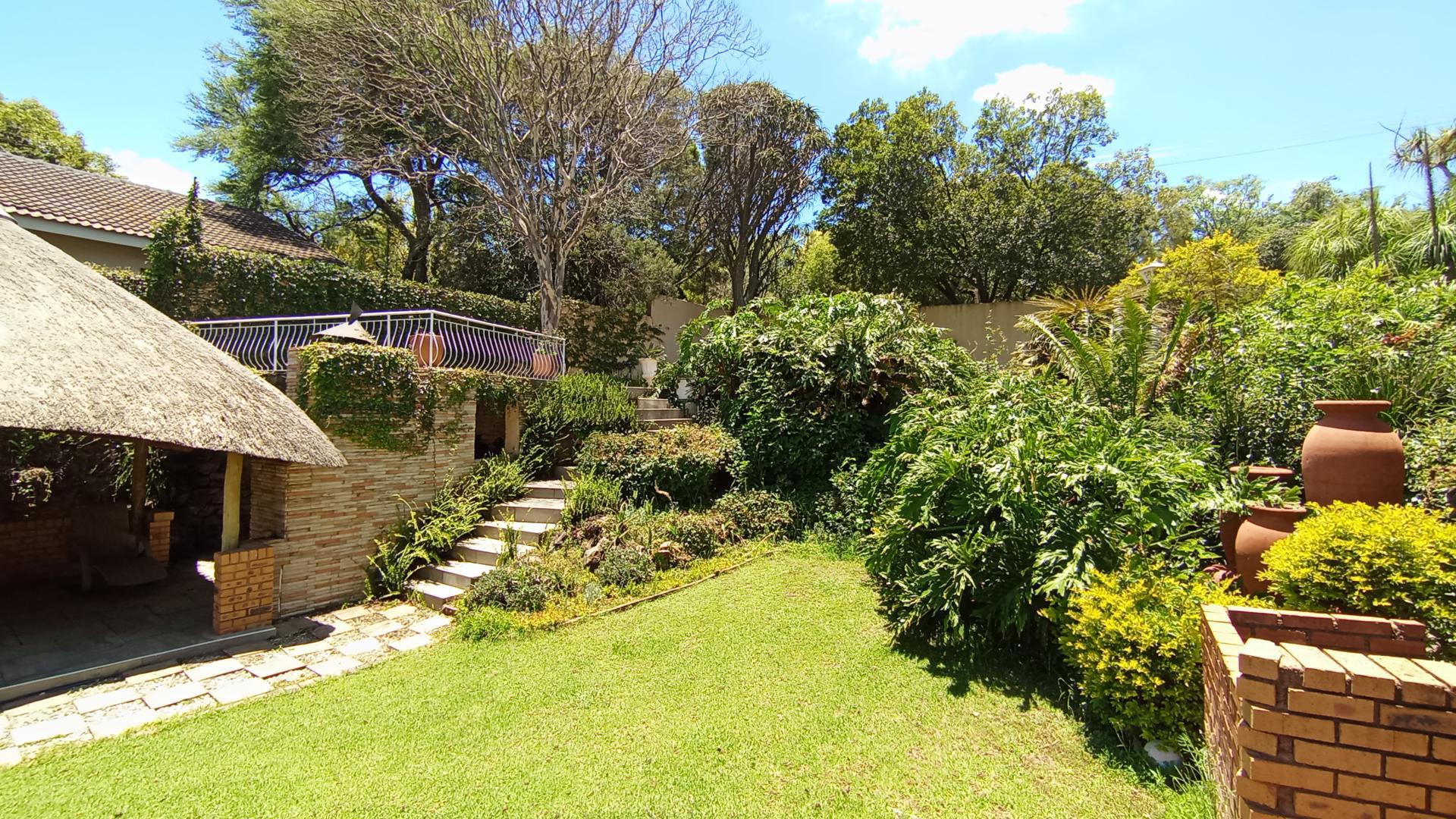 Backyard of property in Waterkloof