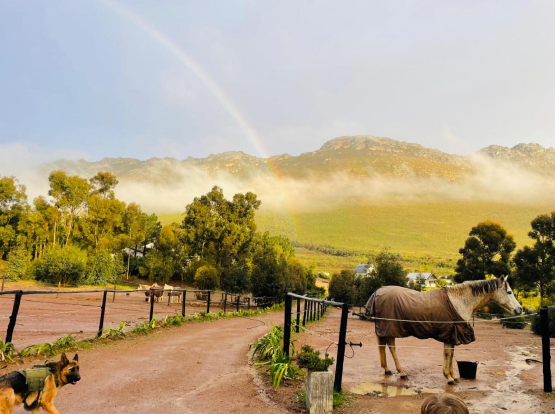  of property in Gordons Bay