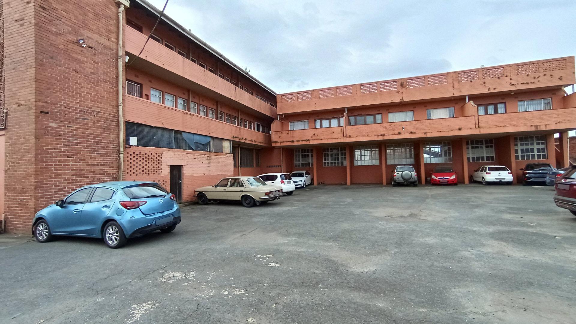 Backyard of property in Pineside