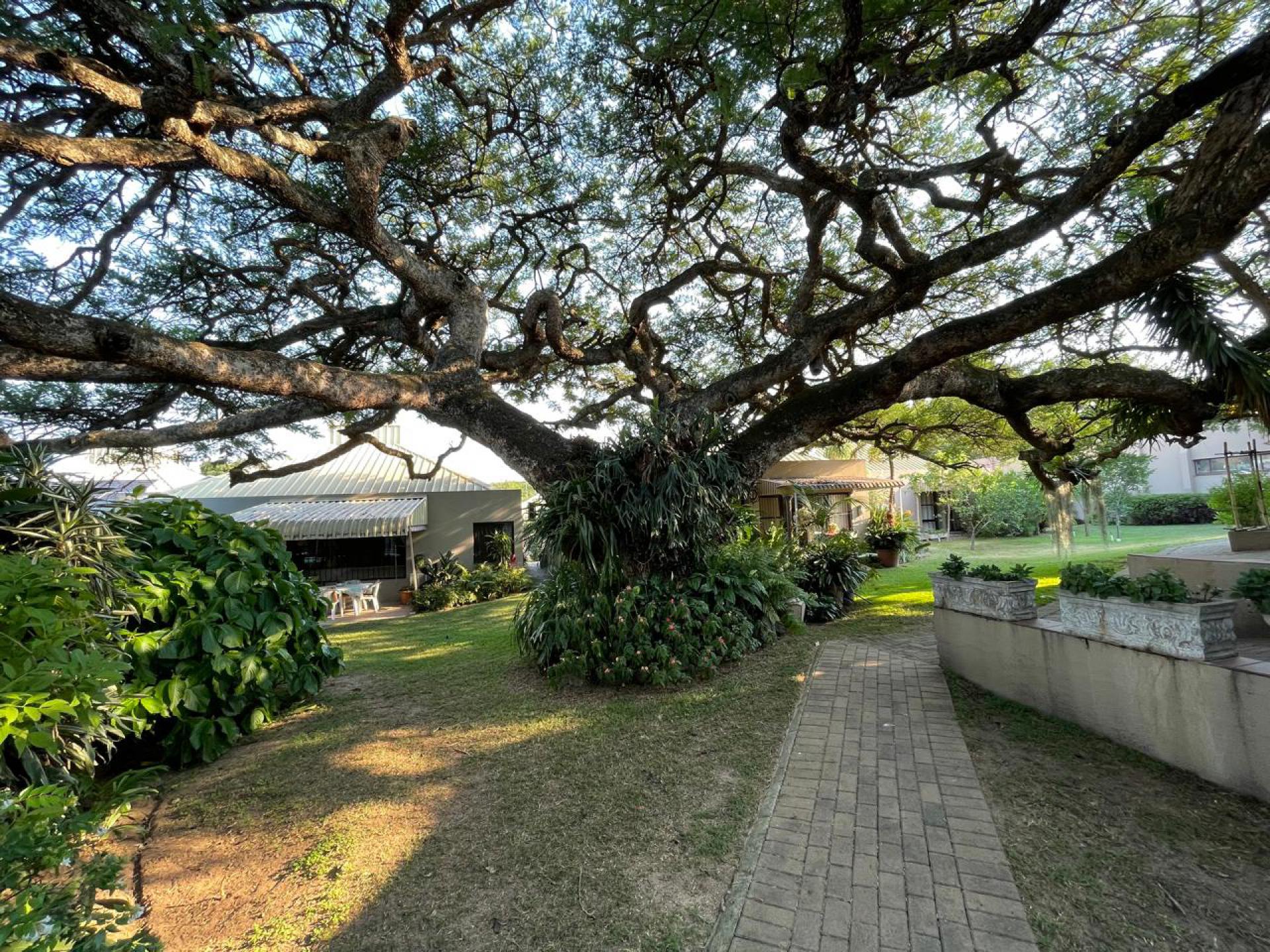  of property in Mbombela