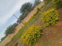  of property in Malamulele
