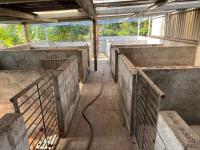  of property in Bathurst