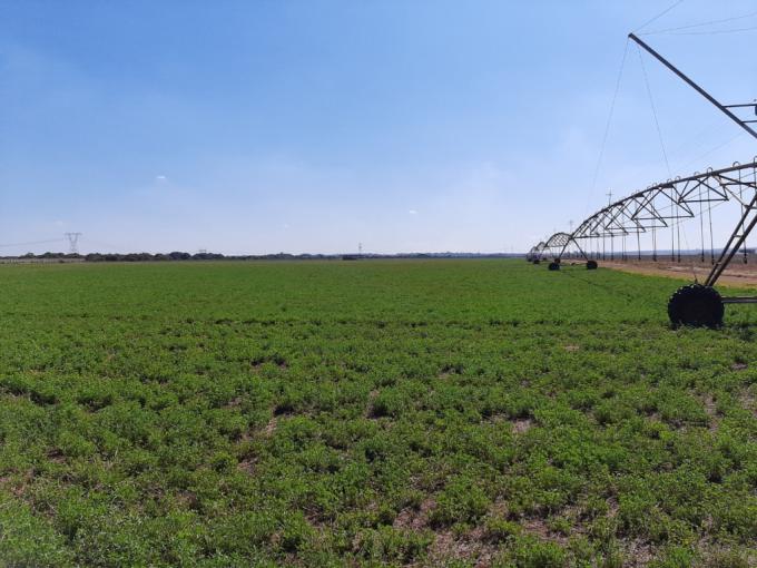 Land for Sale For Sale in Pyramid - MR681049