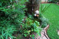  of property in Eldoraigne