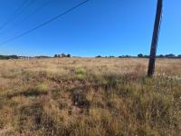  of property in Walkerville