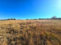  of property in Walkerville