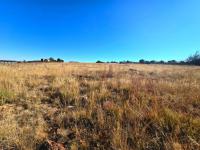  of property in Walkerville