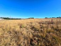  of property in Walkerville