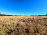  of property in Walkerville