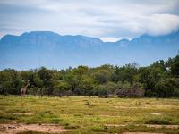  of property in Hoedspruit