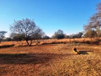  of property in Polokwane