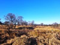  of property in Polokwane