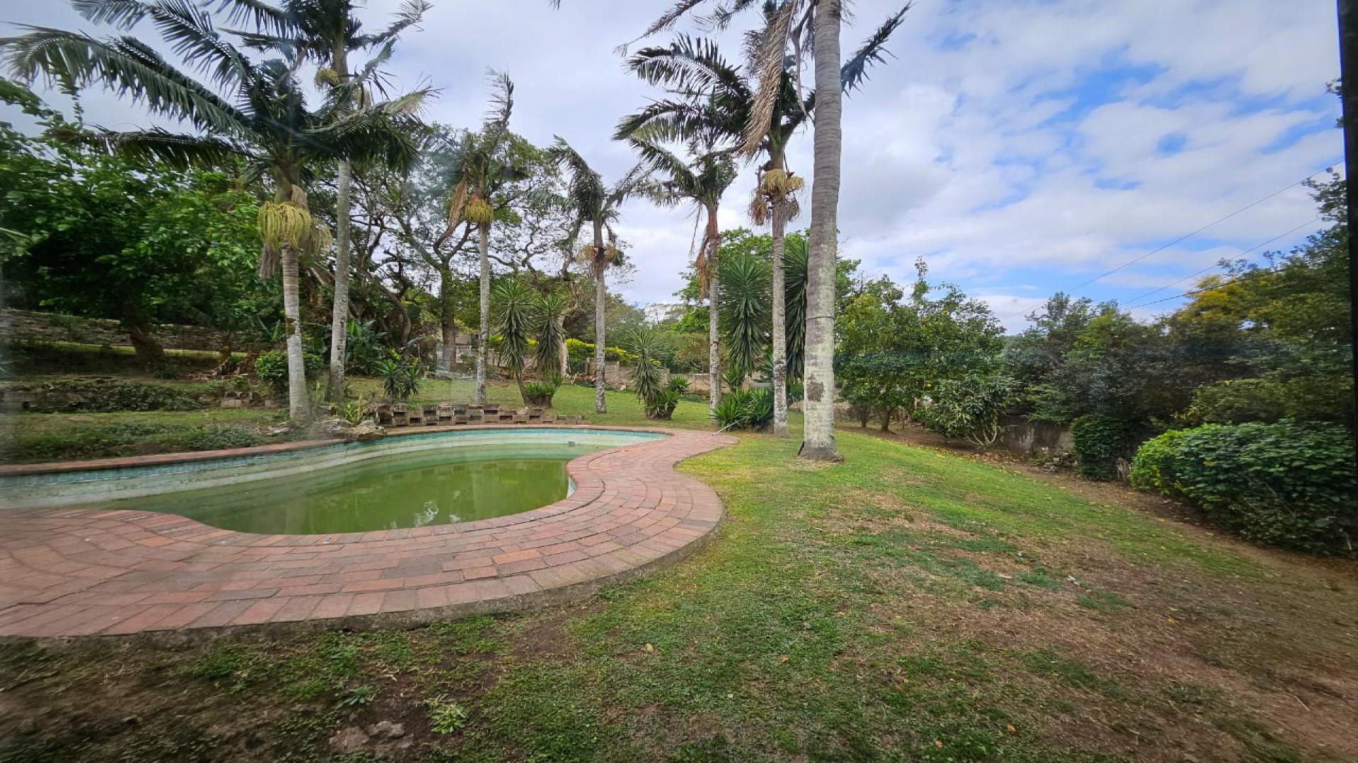 Backyard of property in Cowies Hill Park