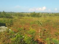  of property in Malamulele