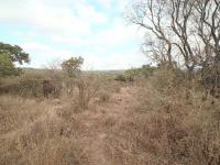  of property in Tweefontein