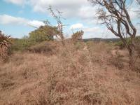  of property in Tweefontein
