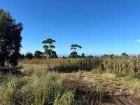 Smallholding for Sale for sale in East London