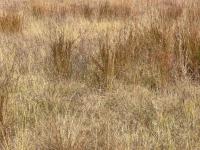  of property in Middelburg - MP