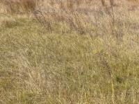  of property in Middelburg - MP