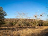  of property in Hoedspruit