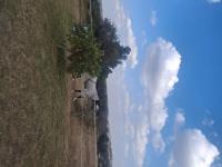  of property in Saddlebrook Estate