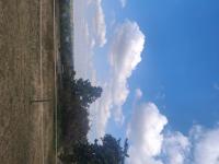  of property in Saddlebrook Estate