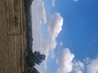  of property in Saddlebrook Estate