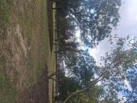 of property in Saddlebrook Estate