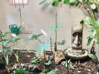  of property in Florentia