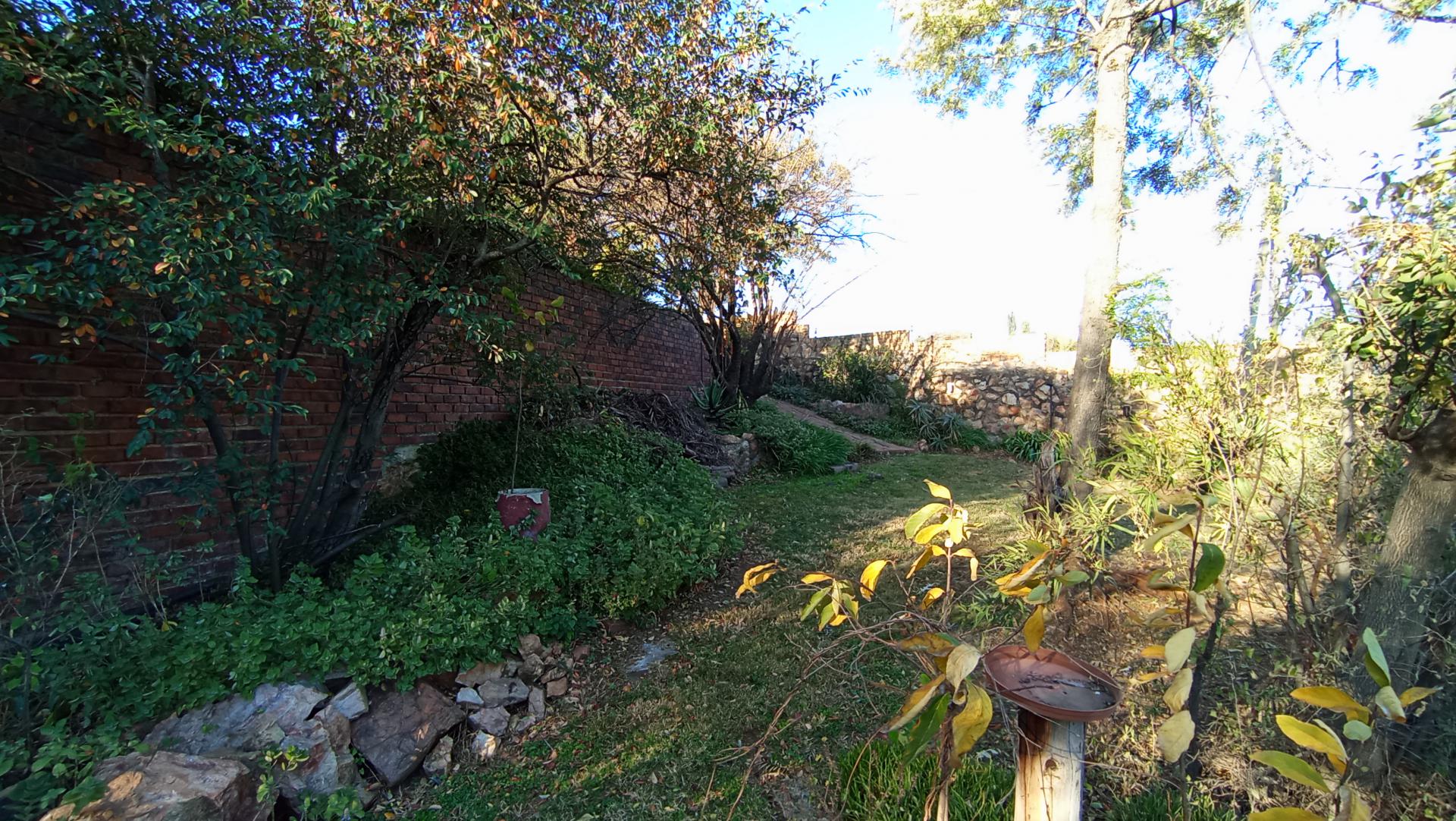 Backyard of property in Constantia Kloof