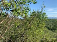 of property in Hoedspruit