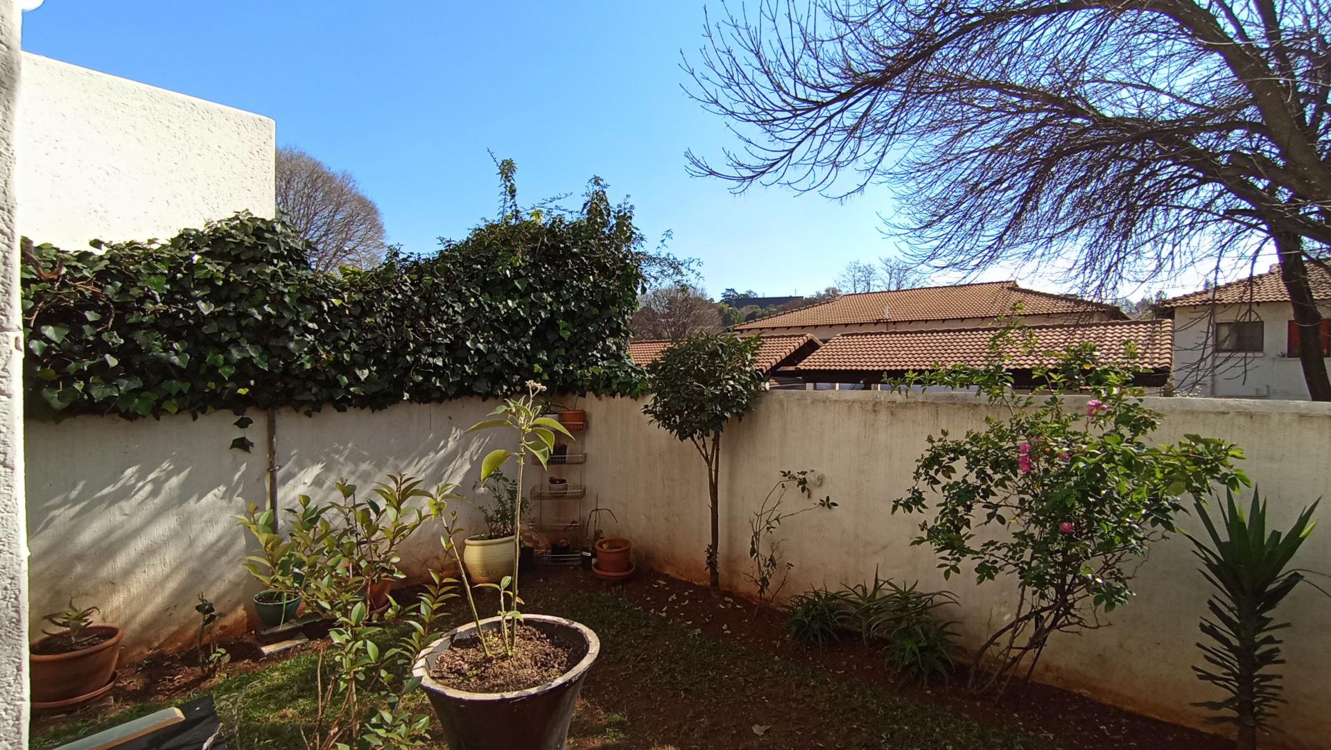 Backyard of property in Observatory - JHB