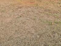  of property in Polokwane