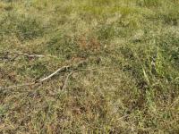  of property in Polokwane