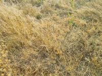  of property in Polokwane