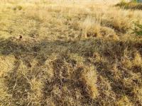  of property in Polokwane