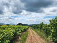  of property in Makhado (Louis Trichard)