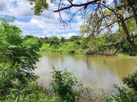  of property in Makhado (Louis Trichard)